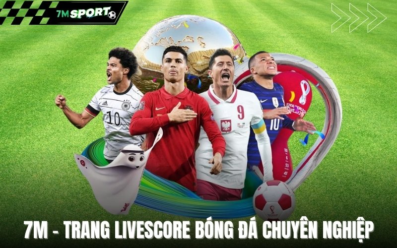 7M - trang livescore bóng đá chuyên nghiệp
