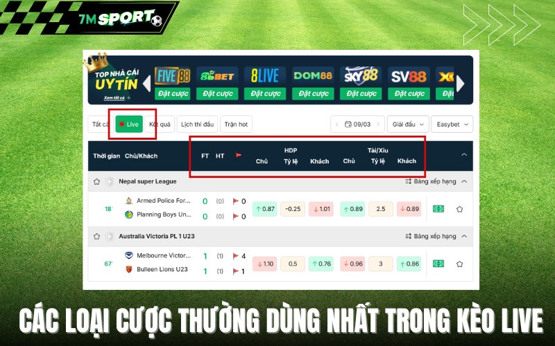 Các loại cược thường dùng nhất trong kèo live