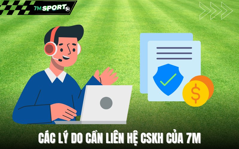 Các lý do cần liên hệ CSKH của 7M