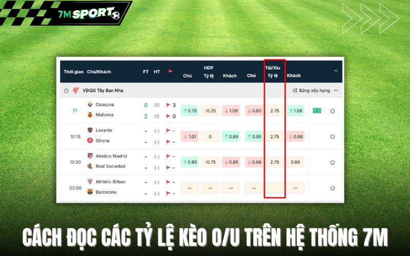 Cách đọc các tỷ lệ kèo O/U trên hệ thống 7M