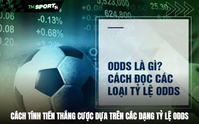 Cách tính tiền thắng cược dựa trên các dạng tỷ lệ Odds