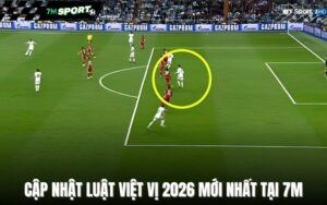 cap-nhat-luat-viet-vi-2026-moi-nhat-tai-7m