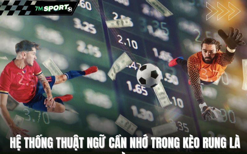 Hệ thống thuật ngữ cần nhớ trong kèo rung là gì?