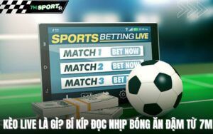 keo-live-la-gi-bi-kip-doc-nhip-bong-an-dam-tu-7m