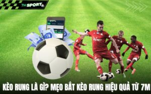 keo-rung-la-gi-meo-bat-keo-rung-hieu-qua-tu-7m