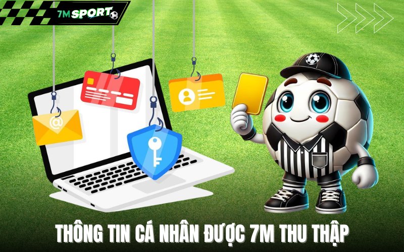Thông tin cá nhân của người xem được 7M thu thập