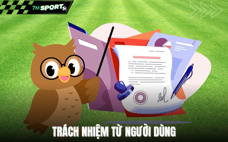 Trách nhiệm từ người dùng